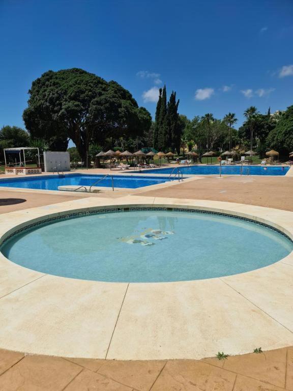 Iris Pool And Garden Benalmadena